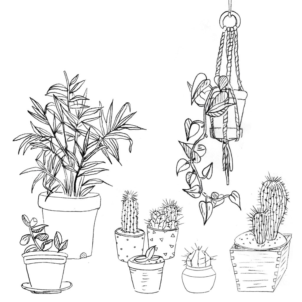 Ilustración de plantas para colorear.